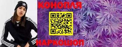 спиды Славгород