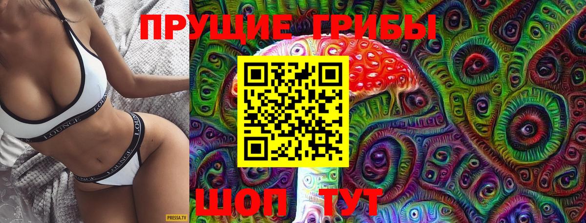 Псилоцибиновые грибы мухоморы Моздок